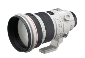 canon-ef-800mm-super-telephoto-lens